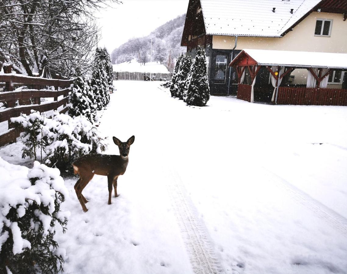 Olimpia Villa Tibod Exteriér fotografie